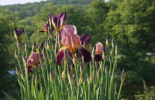 Exklusive LOFT-Wohnung, nur 30 Min von Zürich - Foto 26