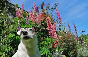 The Annexe at Clarendon - Foto 13