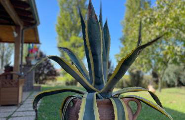 Tenuta Agave - Foto 15