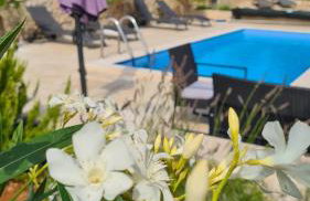 Villa Sidro Krk - Foto 3