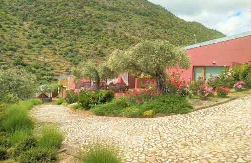 Quinta Vale de Carvalho - Foto 2