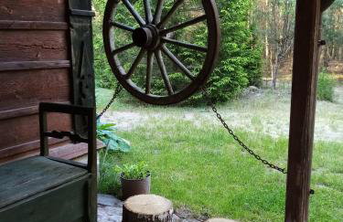 Chata u Żochów - Foto 58