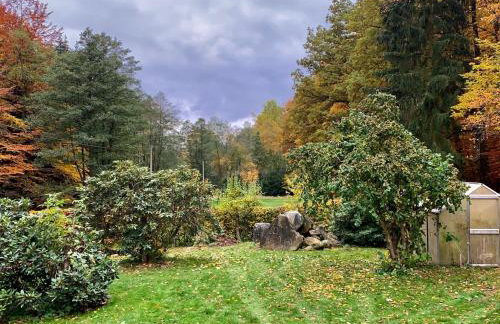 Holiday Home Jägerhaus by Interhome - Foto 5