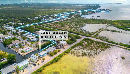 Reel Paradise - Foto 3