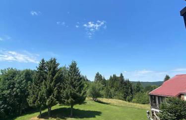 LE CHALET des 3 Sapins, Superbe Duplex Montagnard avec balcon, au calme - Les Rousses, Draps inclus & Parking gratuit - Foto 20