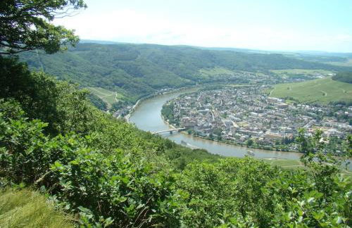 Ferienwohnung Moseltor - Foto 43