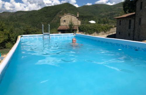 Le Chianine dei Tognoli - Foto 6