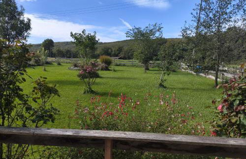 Au chant des oiseaux - rouge gorge - Foto 37