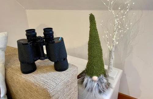 CALMFRANC ático abuhardillado con vistas al río y la montaña Avistamiento de ciervos en Canfranc Pueblo - Foto 10