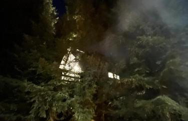 Poczciwy Bies - Photo 35