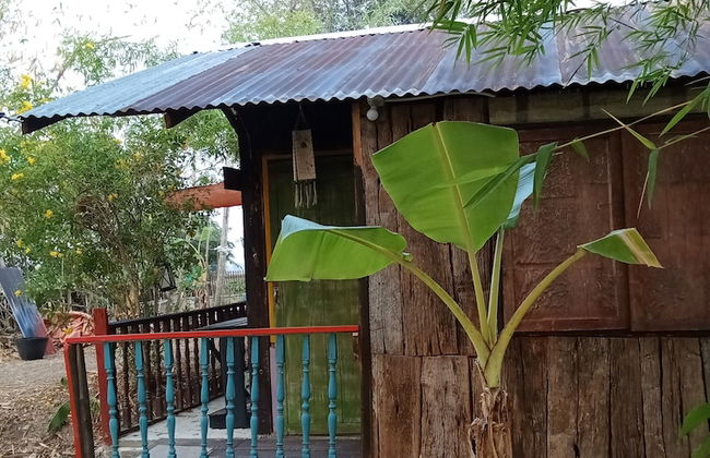 peaceland farmstay - Photo 20