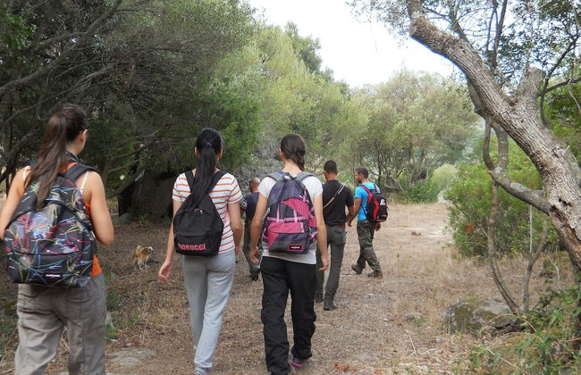 Agriturismo Lu Branu - Photo 23