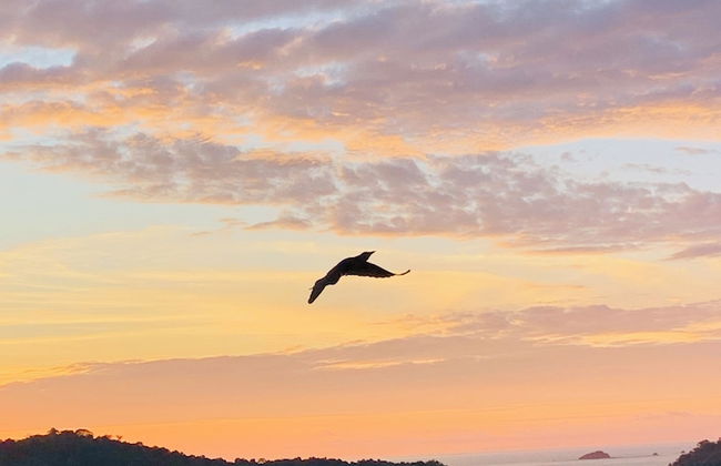 Casa Amable by Ronny's place - Manuel Antonio - Foto 24