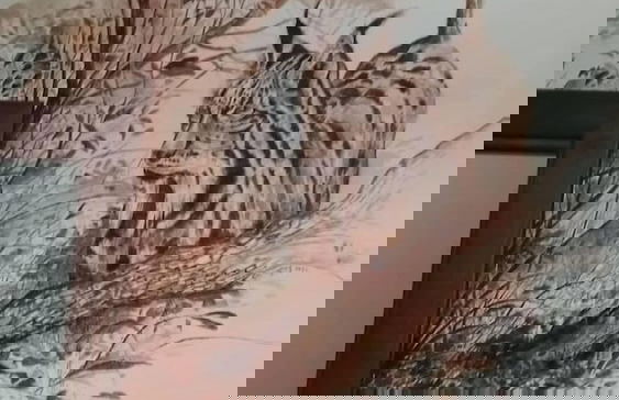 Apartamentos tierras de Granadilla - Foto 15