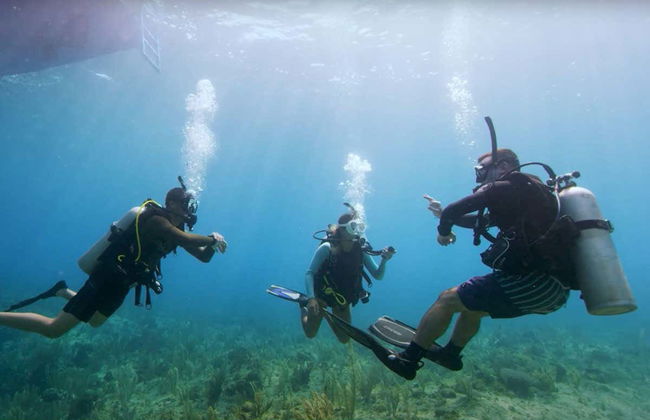 Cours de plongée PADI Open Water - Photo 1