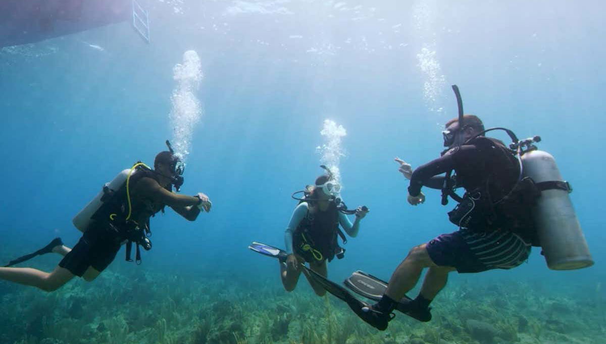 During the PADI Open Water course