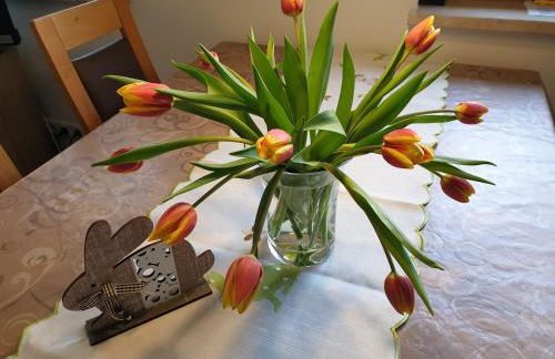 Panorama Ferienwohnungen Thiem - Foto 29