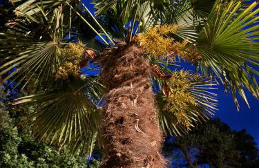 Palma de Masuria Ekskluzywny Dom na wyłączność - Foto 34