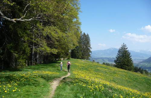 weitnaustyle - renoviert, modern, allergikerfreundlich - Photo 31