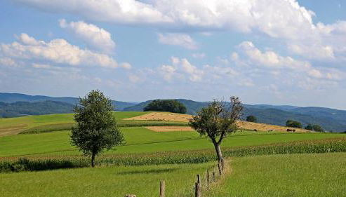 Ferienhof Knoll - Photo 2