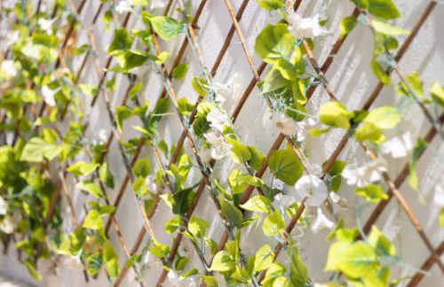 Carrapateiramar Guest House - Foto 38