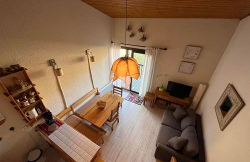 Appartement T2 Duplex sur piste pour 6 pers avec box à skis au Super-Sauze - FR-1-165A-132 - Foto 12