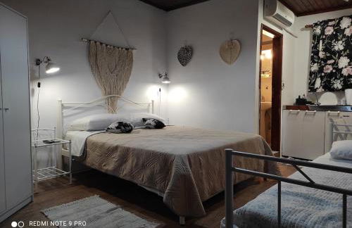 Sofia Skyros - Photo 3