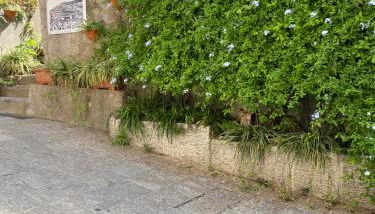 Casa Cotone 5 - Foto 2