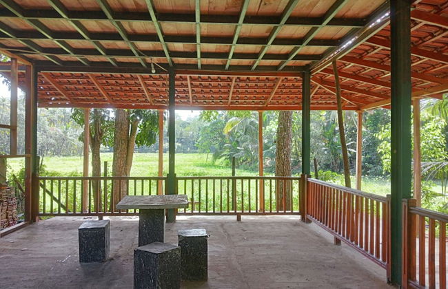 Green Herbal Ayurvedic Eco-Chalets - Foto 26