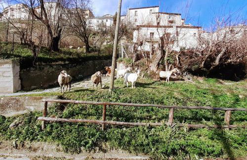 LE ORIGINI casa in borgo tipico lucano - Foto 34