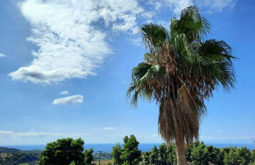 House with View - Foto 1