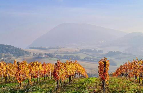 Conero Apartments - Foto 24