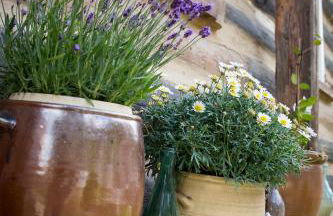 Kulturdenkmal Umgebinde1657 - Foto 43