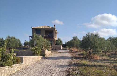 Το Σπίτι της Ελιάς - Foto 12