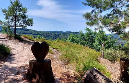 Haus Pusteblume - Foto 23