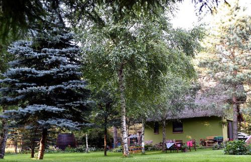 Leśna Strzecha - Foto 20