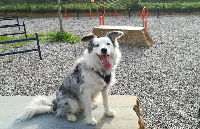 L'Arcada de Fares - Photo 41