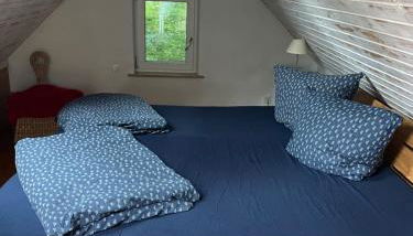 Waldhaus bei Berlin - Foto 2