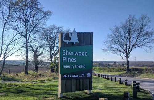 Luxury modern home log fire & outdoor living - Foto 29