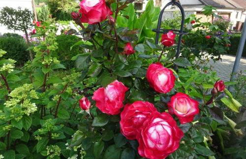 Holiday apartment with 2 bedrooms - Foto 5