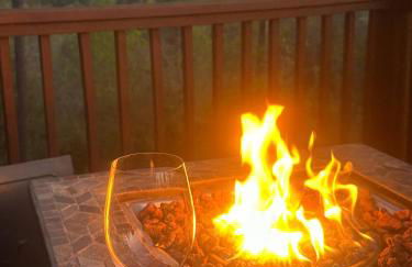 Peak Experience Mountain Views Fireside Moments - Foto 4