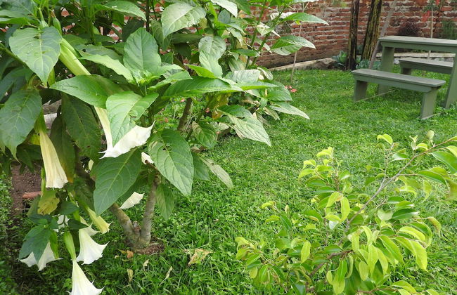 Green Village Apartments - Photo 16