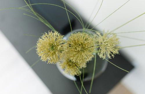 Küsten Suite Nord - direkte Wasserlage, Terrasse, 70qm - Foto 26