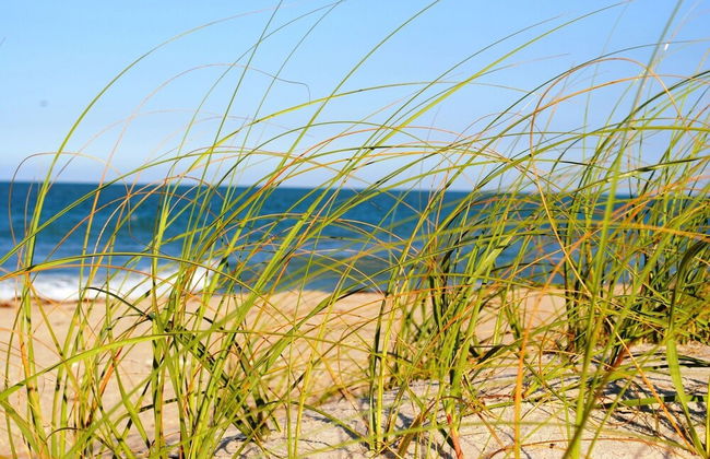 Seaspray Surf Lodge - Photo 23