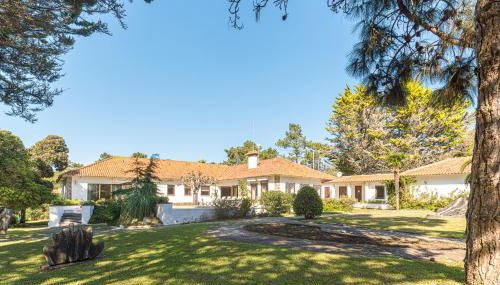 Villa Maxima - Foto 4