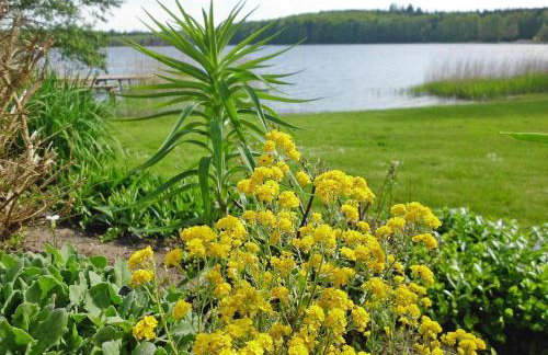 Bungalow in Klein Labenz for 4 Personen - Foto 7