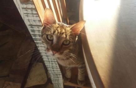 Cascina Bricco - Photo 18