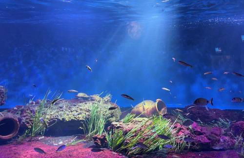 L’Archipel de Talmont - Foto 64