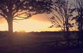 Holywell Grange Farm - Foto 18