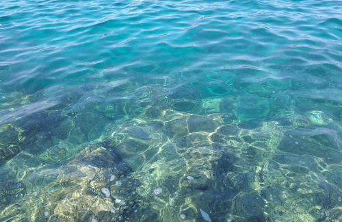 Levak Apartments - Apt.3 - Photo 11